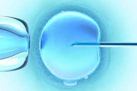 In-Vitro Fertilisatie (IVF)